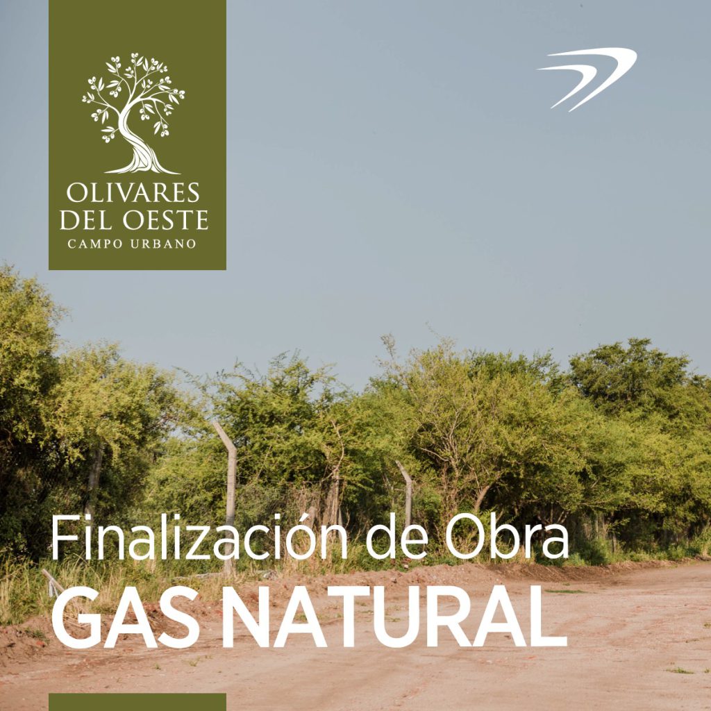 Olivares del Oeste sigue avanzando