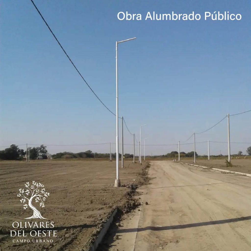 Olivares del Oeste sigue avanzando con rapidez